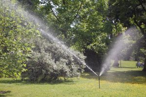 Vanning i hagen