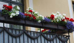 Balkongkasser i 17. mai-farger