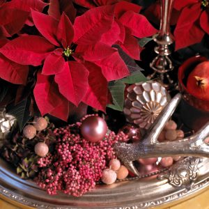 Julestjerne i dekorasjon