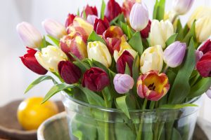 Tulipanbukett
