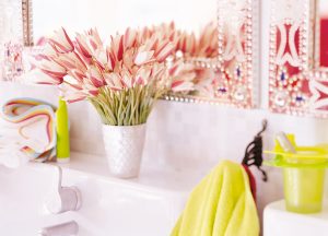 Tulipan