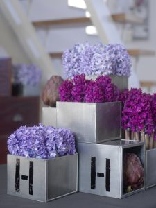 Svibler i lillanyanser