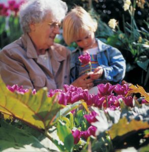 Bestemor og barnebarn i hagen