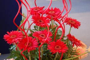 Herlig rød bukett med gerbera