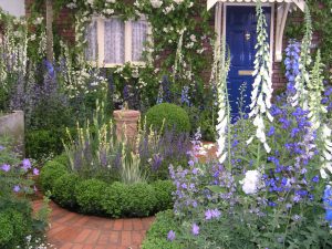 Den blå staudehage