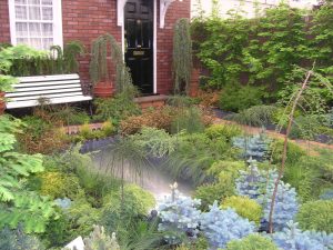 Den vintergrønne hagedrømmen