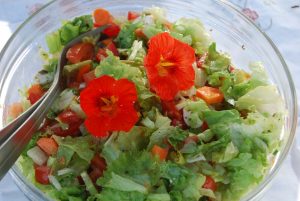 Fargerik salat med ingredienser du kan dyrke selv!
