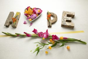 Gladiol - hope