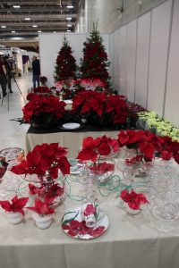 Julemesse med julestjerner, borddekorasjoner med julestjerne