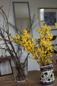 Grener, Forsythia
