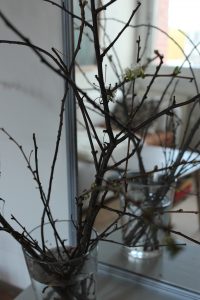 Grener i vase