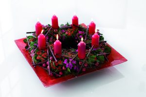 Ildtopp kan være en glimrende juleblomst