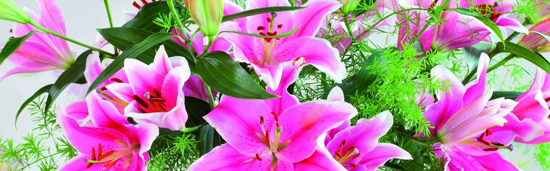 Lekne liljer i sommerbuketten