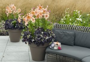 Sommerdrøm med sofa og store blomsterurner