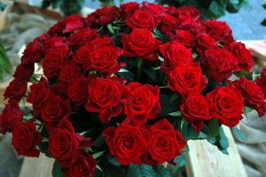 rose, snittrose, rød rose, rosebukett