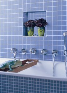 Peperomia caperata på badet