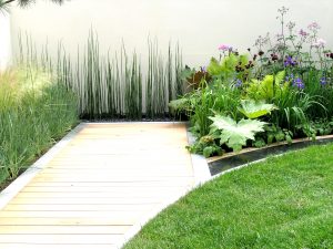 Pyntegress i stilren hage