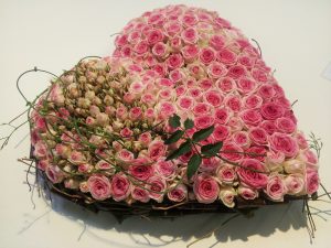 Rosa rosehjerte til valentine