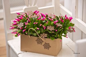 Blomstrende julegave