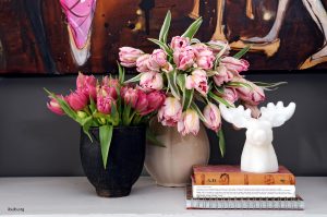 Tulipaner i vaser