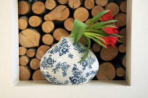 Tulipan