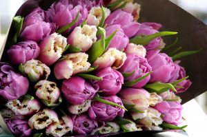 Tulipanbukett