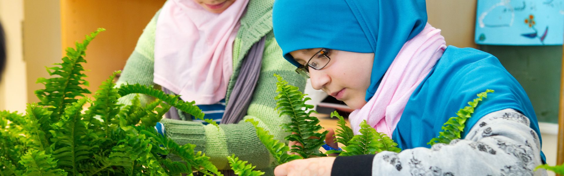 Grønt innemiljø – norsk forskning på planter i innemiljø i klasserommene