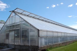 Bilde av veksthus