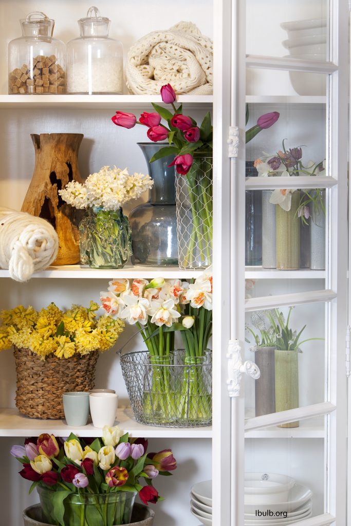 Vårblomstrende snittblomster i skapet | OBP - Opplysningskontoret for ...