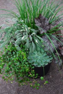 Blomsterkrukke