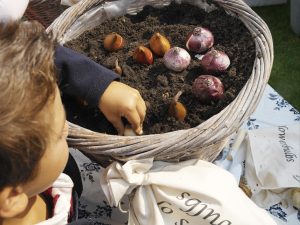 Å legge løk i krukke