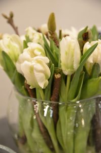Tulipaner med kvister