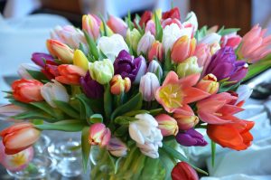 Tulipaner i vase
