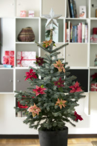 Juletre for små boliger