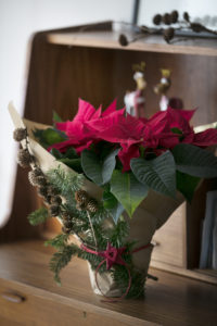 Festlig blomstrende julegave