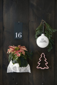 Julekalender med blomstrende liv