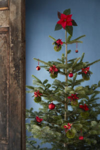 Julestjernepyntet juletre