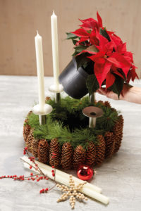 Slik lager du adventskrans med julestjerner og naturmaterialer: Trinn 5