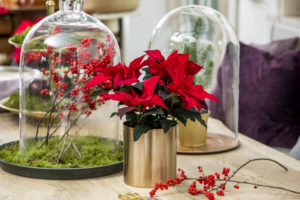 God jul med naturmaterialer