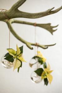 Ta med naturen inn med tørre grener og hengende blomstervaser
