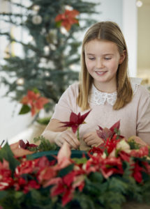Fine juledekorasjoner kan du lage selv; julestjernen er praktfull også som dekorasjonsblomst