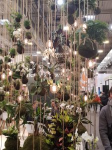 Hørt om planter i mosekuler? På denne utstillingen er alle planters jordklumper, store og små, pakket i mose