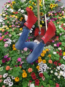 På hue i blomsterbedet...