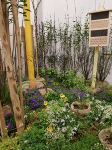 Utstilling av insektsvennlig hage