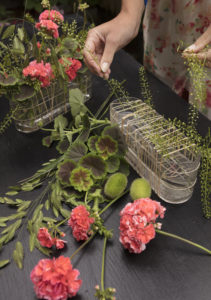 Dekorasjon med pelargonia