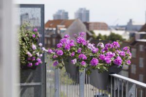 Blomsterkasser i byen - sommerfriskt og koselig