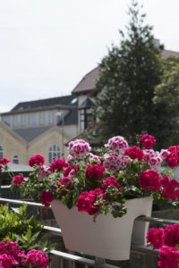 Blomsterkasser for rekkverk - blomster i byen