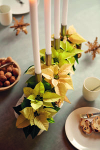 Adventskrans i pastell, DIY