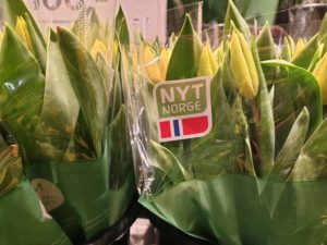 Nyt norge på blomster
