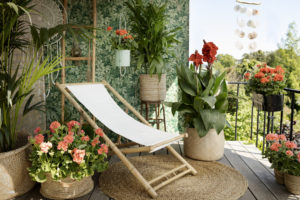 Pelargonia 2020